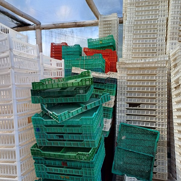 Lotes de cajas plásticas para cosecha - imagen 3