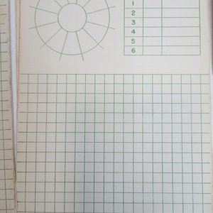 Lote de Documentación Aeronáutica: Manuales, Planillas y Cartas de Vuelo - imagen 6