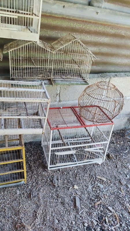 Item 869947 - Image 1