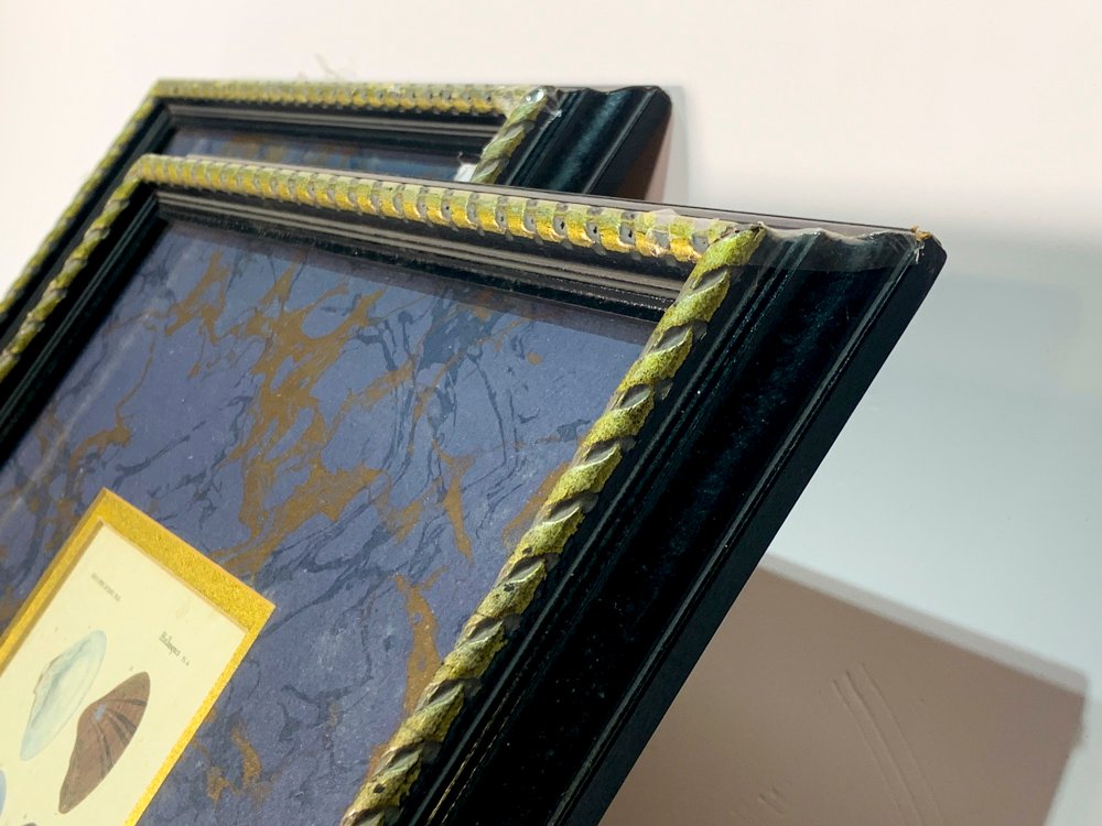 Item 494883 - Image 2