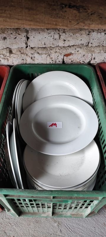 Lote de Platos de Loza Blancos