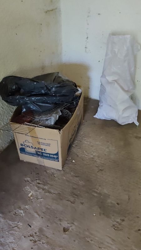 Item 869950 - Image 0