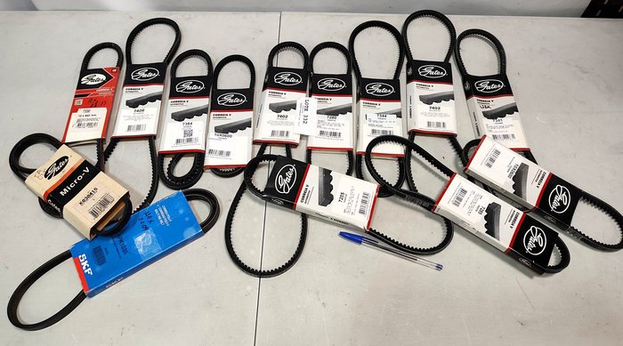 Lote de 14 Correas en V Gates y SKF para Peugeot, VW, Ford, Fiat