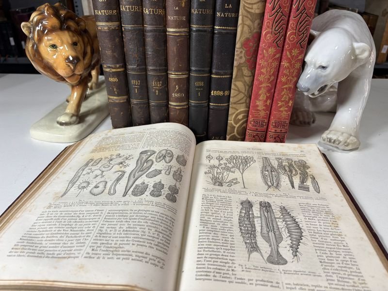 Item 879306 - Image 3