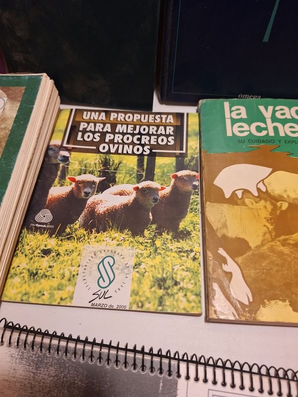 Item 870072 - Image 3