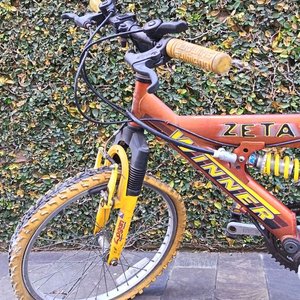 Bicicleta Winner Zeta con Cambios y Suspensión - imagen 6