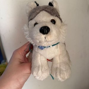 Peluche Perro Husky Siberiano Juguete Suave - imagen 1