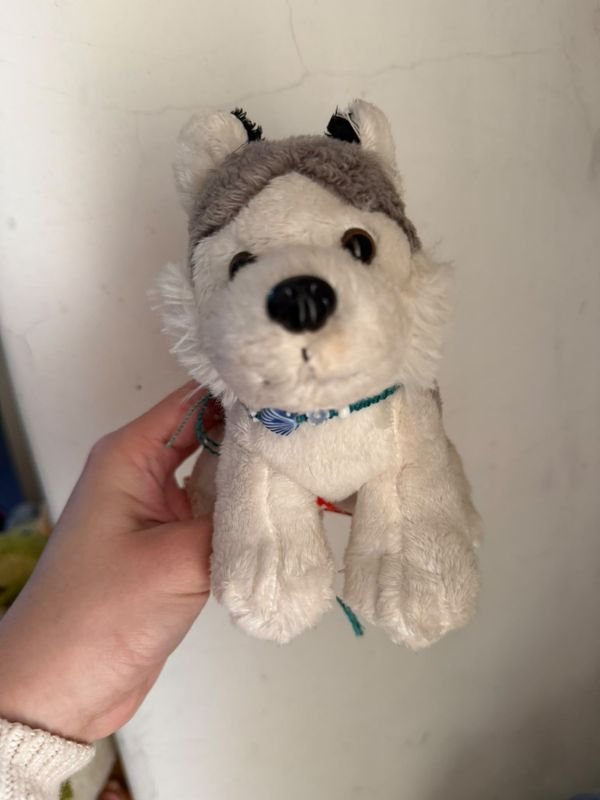 Peluche Perro Husky Siberiano Juguete Suave