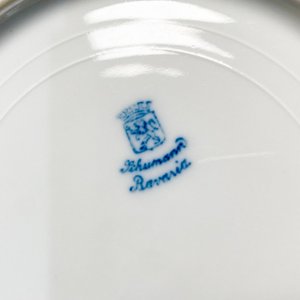 Lote de 16 Platos y Tazas Variados - imagen 5