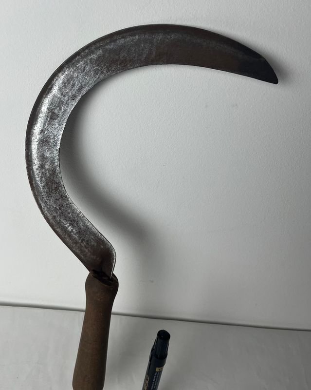 Item 854845 - Image 5