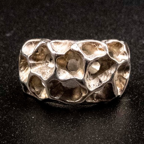 Anillo de Plata 950 con Diseño Orgánico - imagen 1
