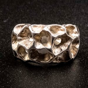 Anillo de Plata 950 con Diseño Orgánico - imagen 1
