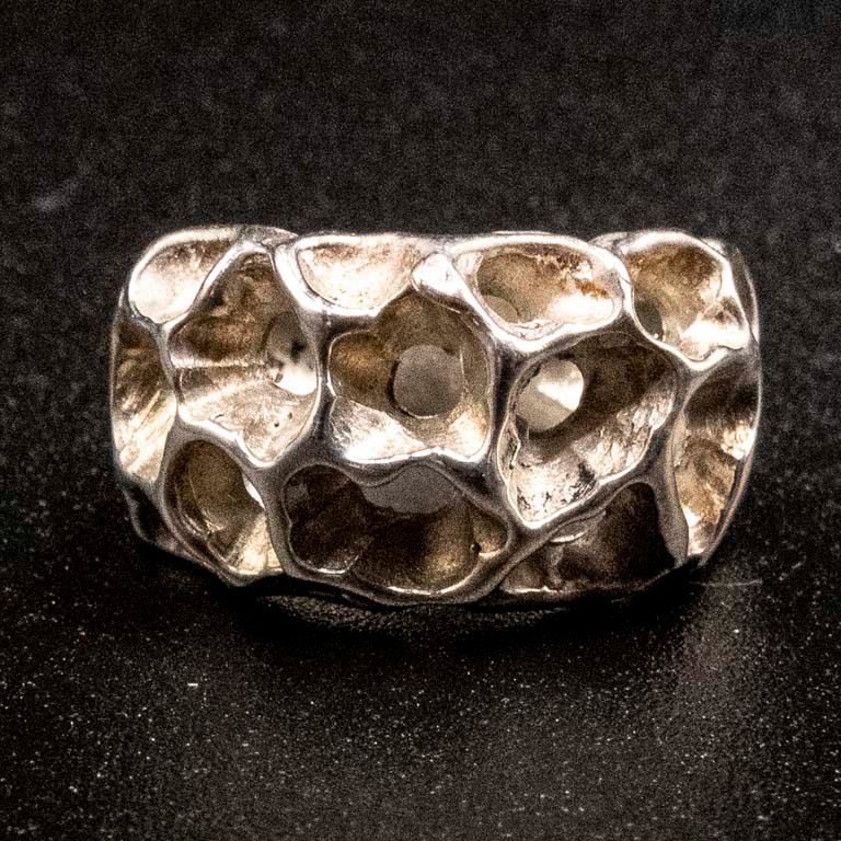 Anillo de Plata 950 con Diseño Orgánico
