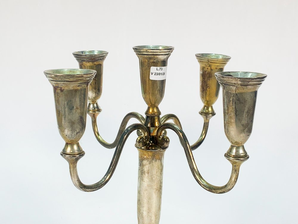 Item 490332 - Image 1