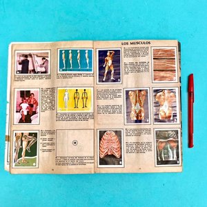 Álbumes Educativo "El Cuerpo Humano" y "Mundial de Fútbol 1974" - imagen 3
