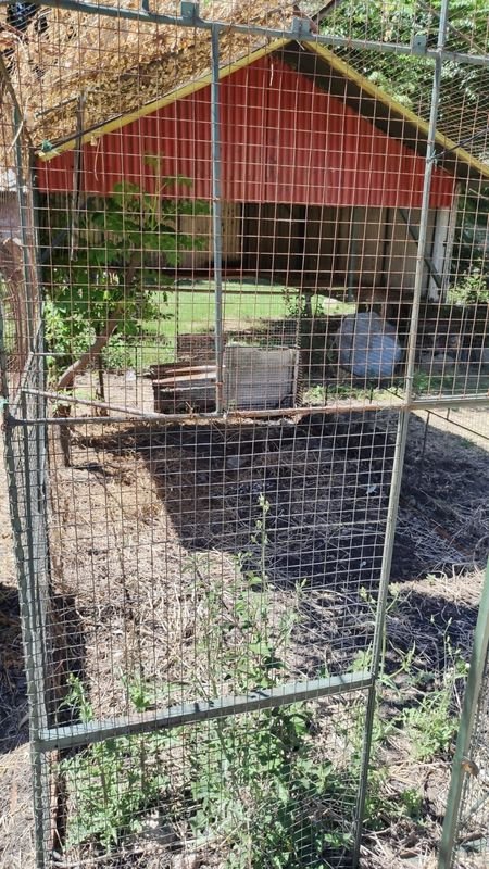 Item 869948 - Image 3