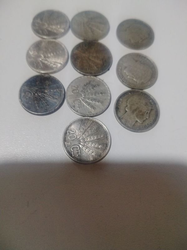 Item 876661 - Image 1