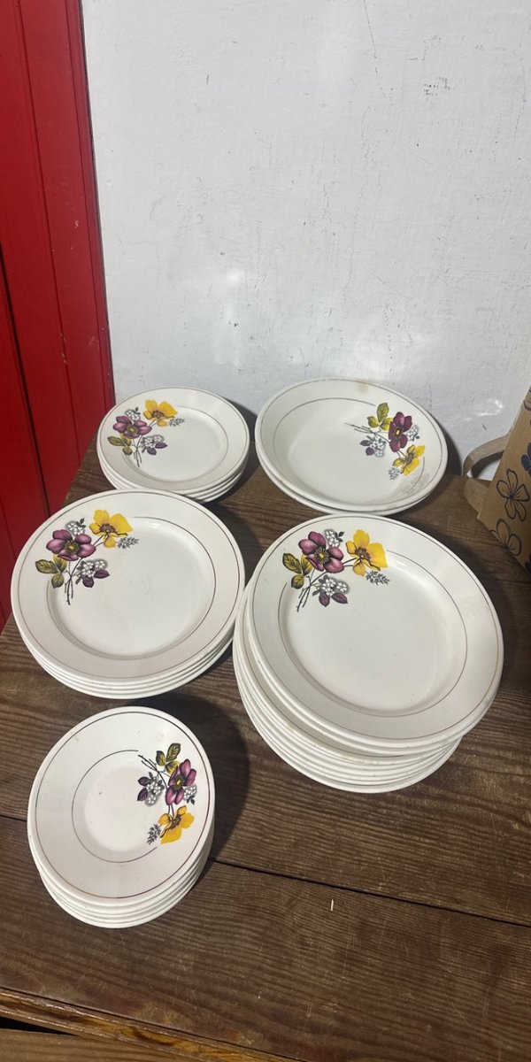 Conjunto de 25 Platos y Platillos con Diseño Floral