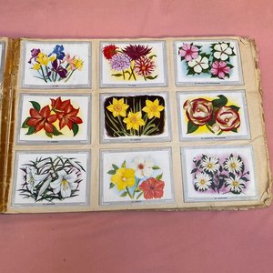 Álbum de Figuritas "Vida y Color" de Álbumes Españoles S.A. - imagen 5