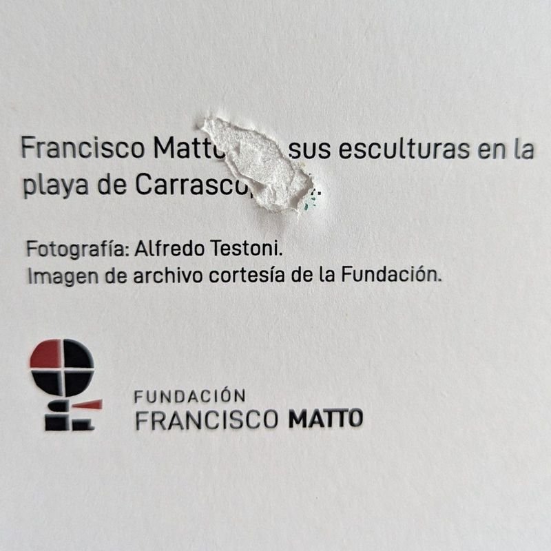 Reproducción de fotografía de Alfredo Testoni en la playa de Carrasco - imagen 4