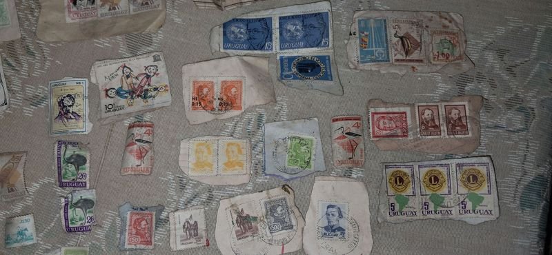 Item 880833 - Image 2