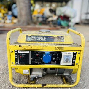 Lote anterior: Generador Eléctrico Forest & Garden Amarillo