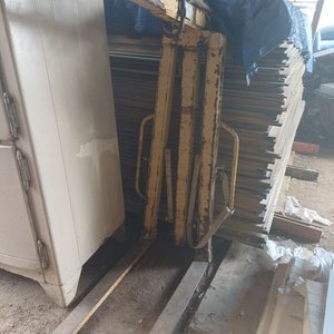 Lote siguiente: Pluma Guinche Amarilla Boscato - 1.70m Alto