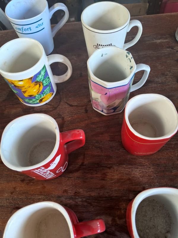Lote anterior: Lotes de Tazas Cerámicas con Diseños Variados