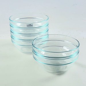 Lote anterior: Seis Bowls de Vidrio Transparente