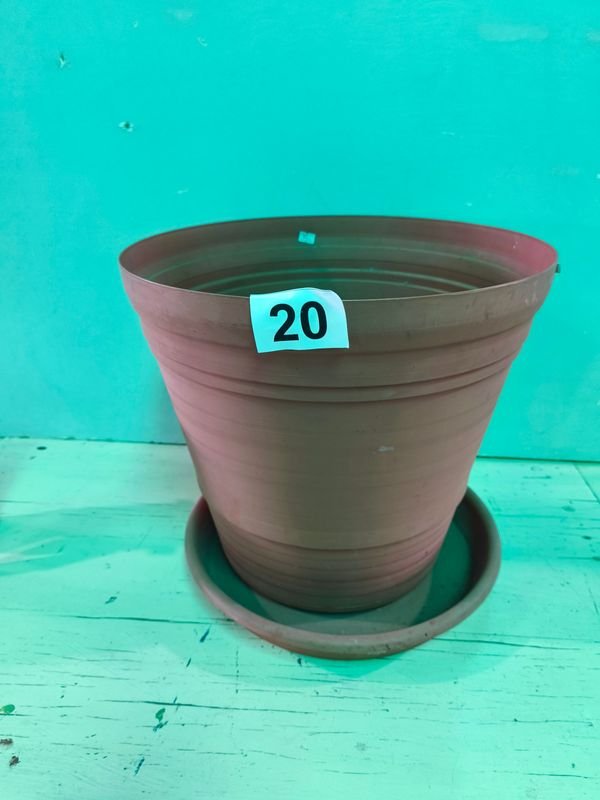 Item 884462 - Image 1