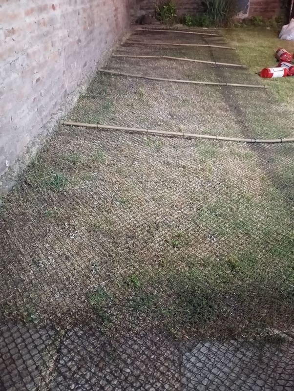 Item 871365 - Image 0