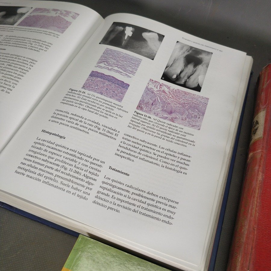 Item 15858 - Image 5