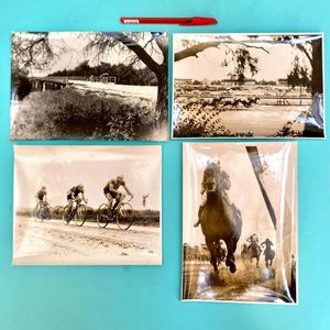 Lote anterior: 4 Fotos Antiguas Carreras Caballos y Ciclismo 23x17 cm
