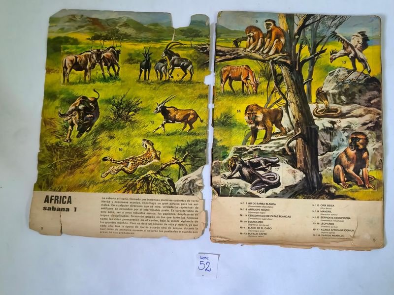 Item 844753 - Image 1