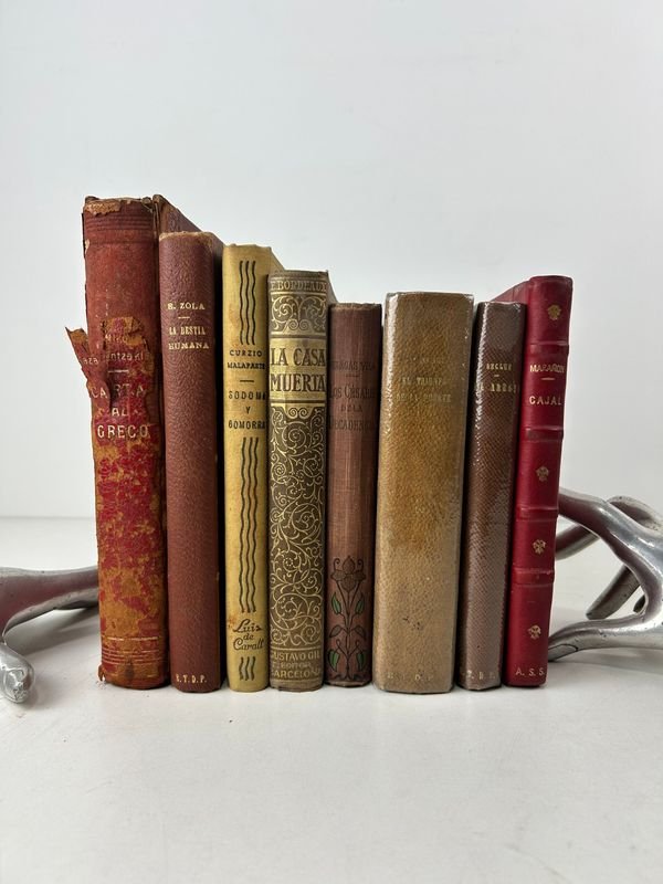 Lote anterior: Literatura y ensayo (novela y clásicos) - Ediciones antiguas en español y francés