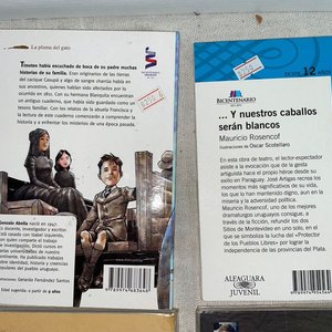 Lote de Libros: Cuentos de Artigas y Otros Títulos - imagen 8