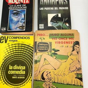 Lote de 4 Libros Usados: Koontz, Andrews, Dante y Jardiel Poncela - imagen 1