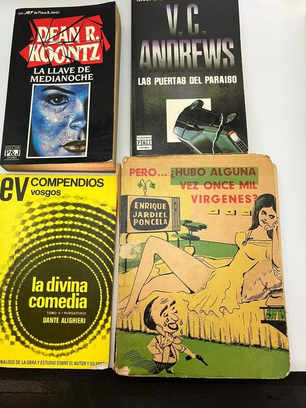 Lote de 4 Libros Usados: Koontz, Andrews, Dante y Jardiel Poncela