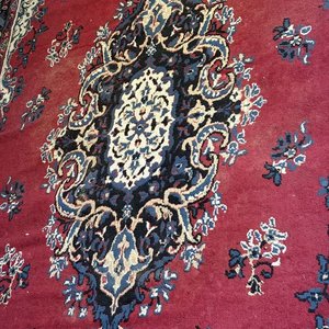 Alfombra Estilo Persa con Medallón Central y Flecos - imagen 2