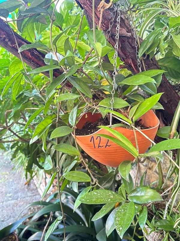 Item 892378 - Image 0