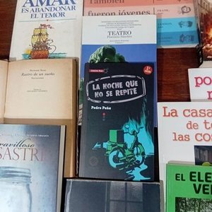 Lote de 16 Libros: Narrativa, Poesía, Teatro y Más - imagen 5