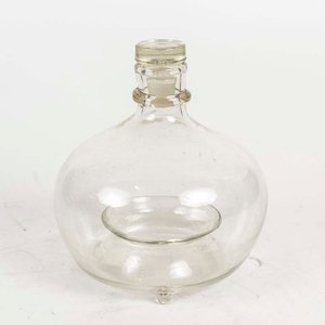 Mosquero de Vidrio Transparente con Tapa - imagen 1