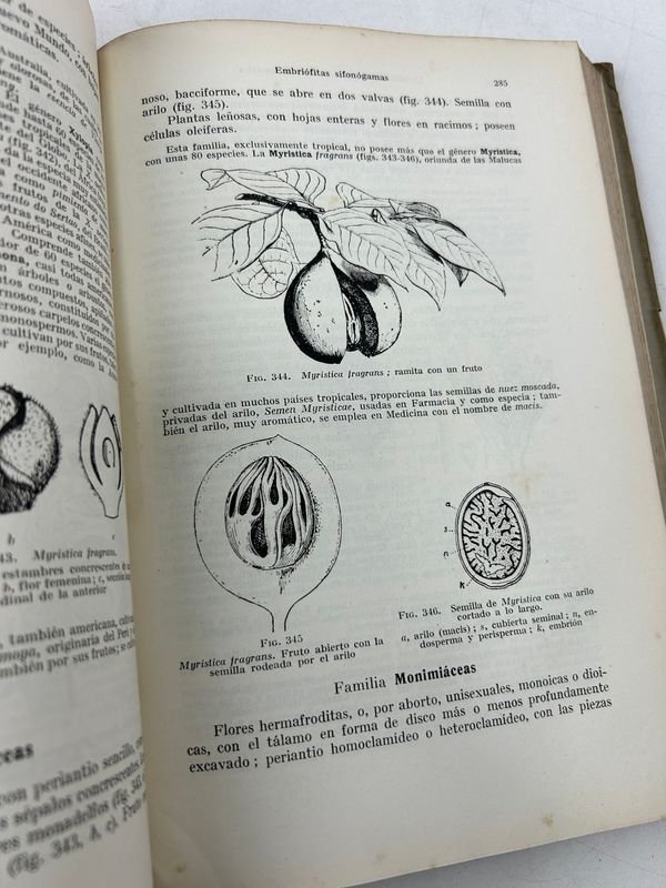 Libros de Botánica: Curso General Aplicado y Flora de la Patria - imagen 15