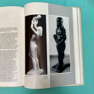Libro "La Influencia Española en las Artes Visuales del Uruguay" - Carbajal y Moreno Tonelli - imagen 8