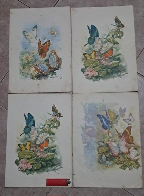 Menús Crucero "Giulio Cesare" Años 70 - Set de 4 Ilustraciones de Mariposas