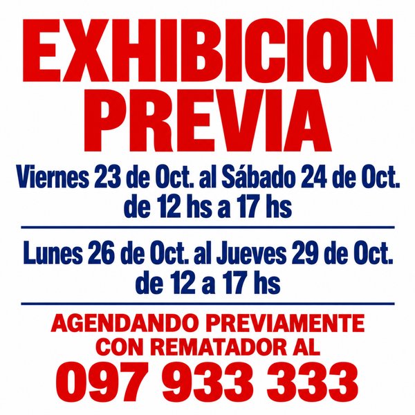 Exhibición Previa de Lote: Fechas y Contacto