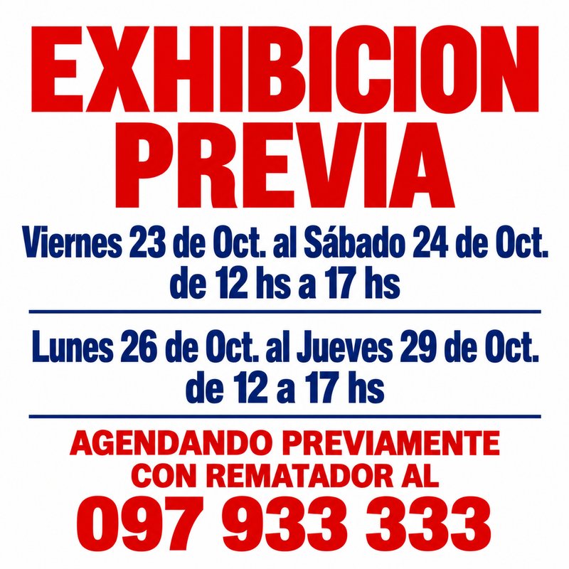 Exhibición Previa de Lote: Fechas y Contacto