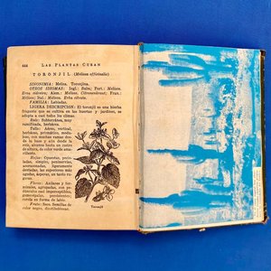 Libro "Las Plantas Curan" - Primera Edición 1958 - imagen 5