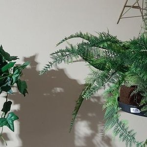 2 Plantas Artificiales Decorativas con Macetas - imagen 1