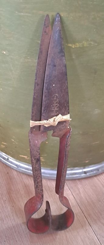 Item 854777 - Image 0